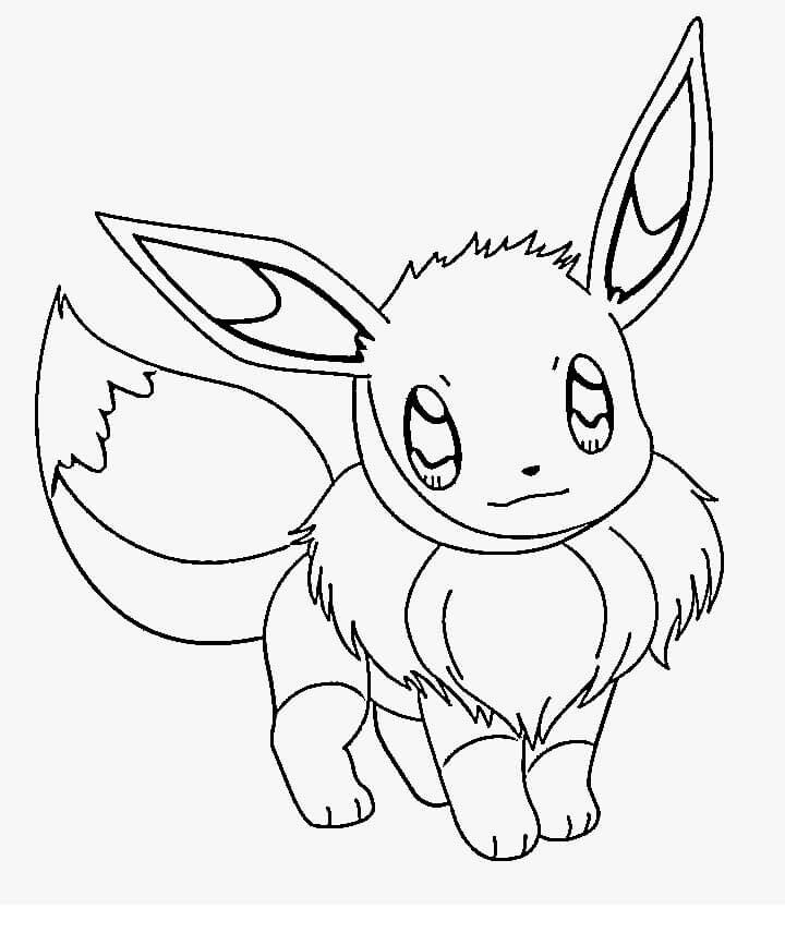 eevee