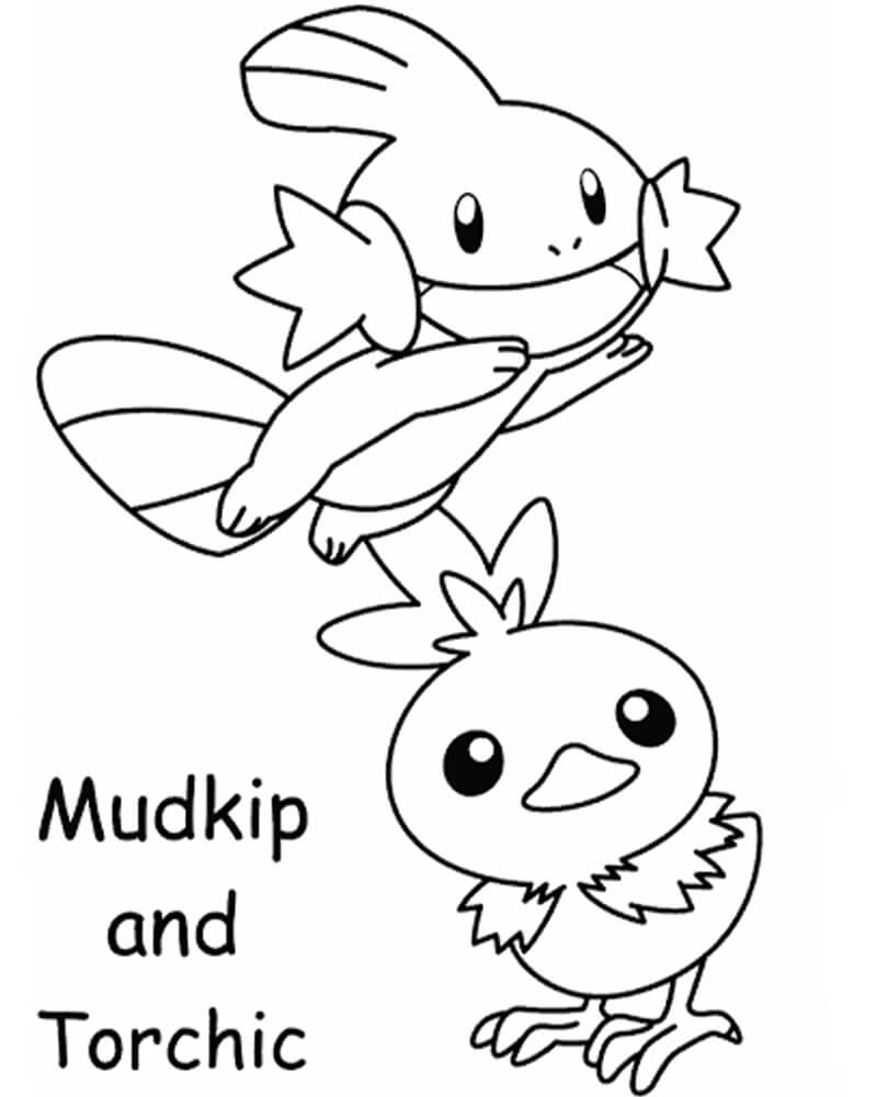 mudkip