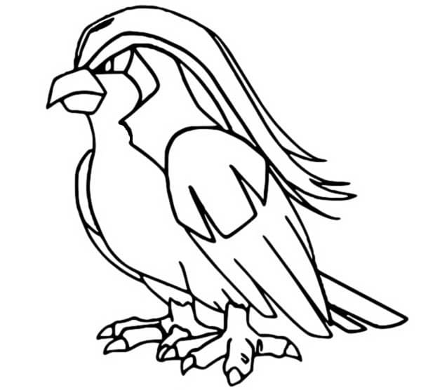 pidgeot