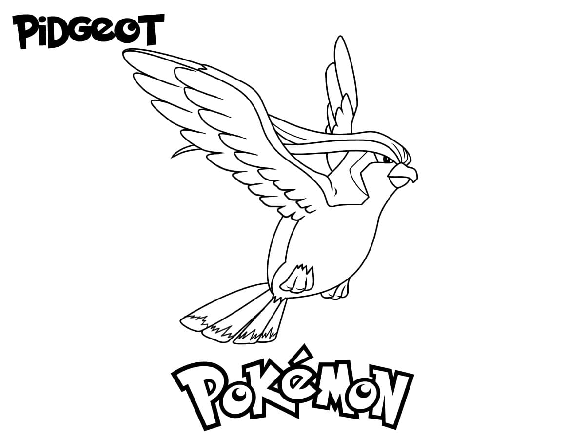 pidgeot