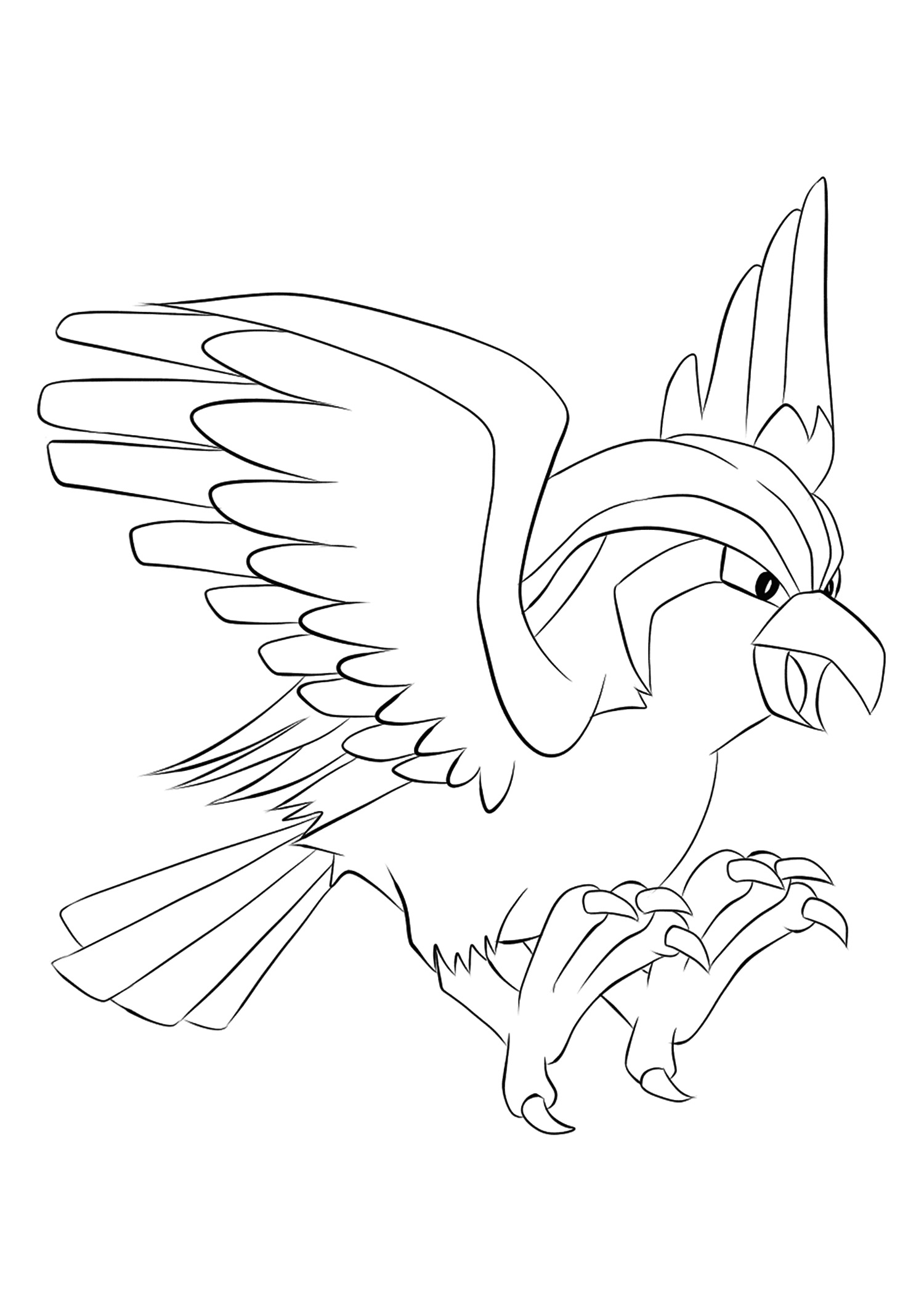 pidgeot