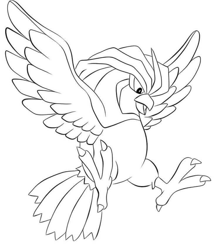 pidgeotto