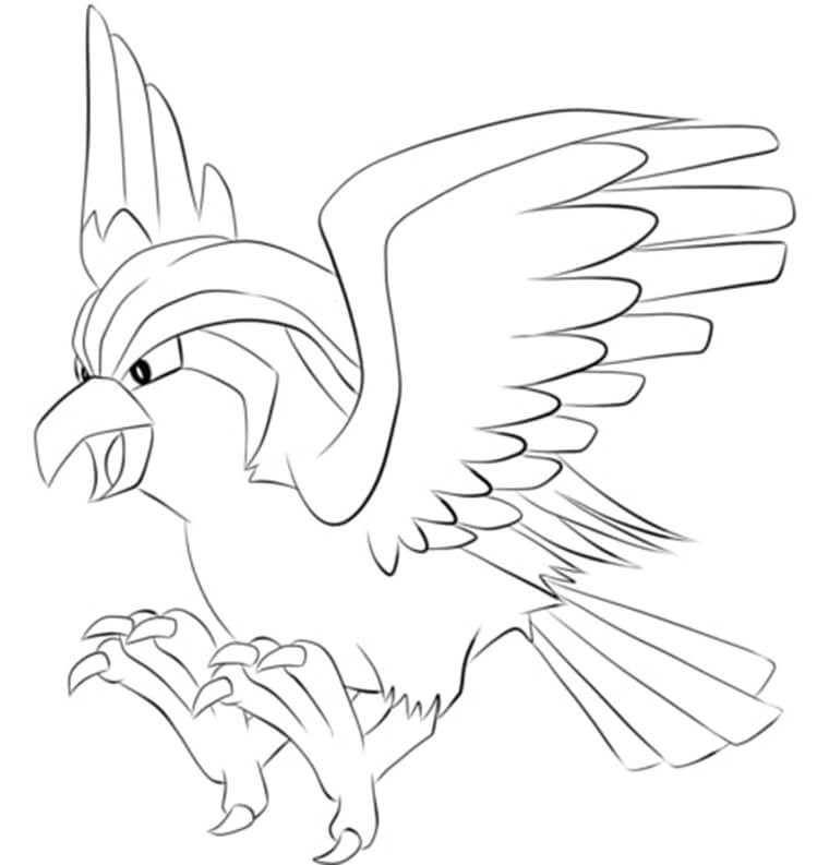 pidgeotto