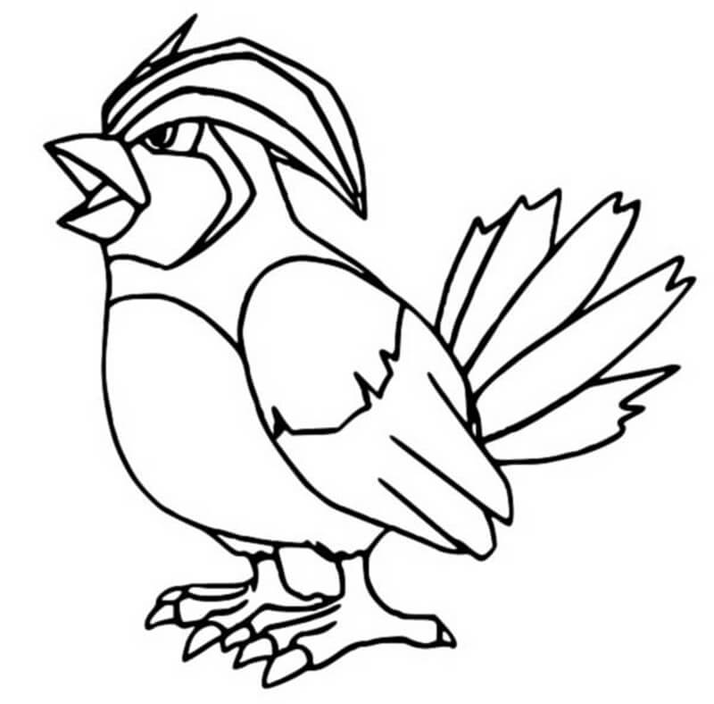 pidgeotto