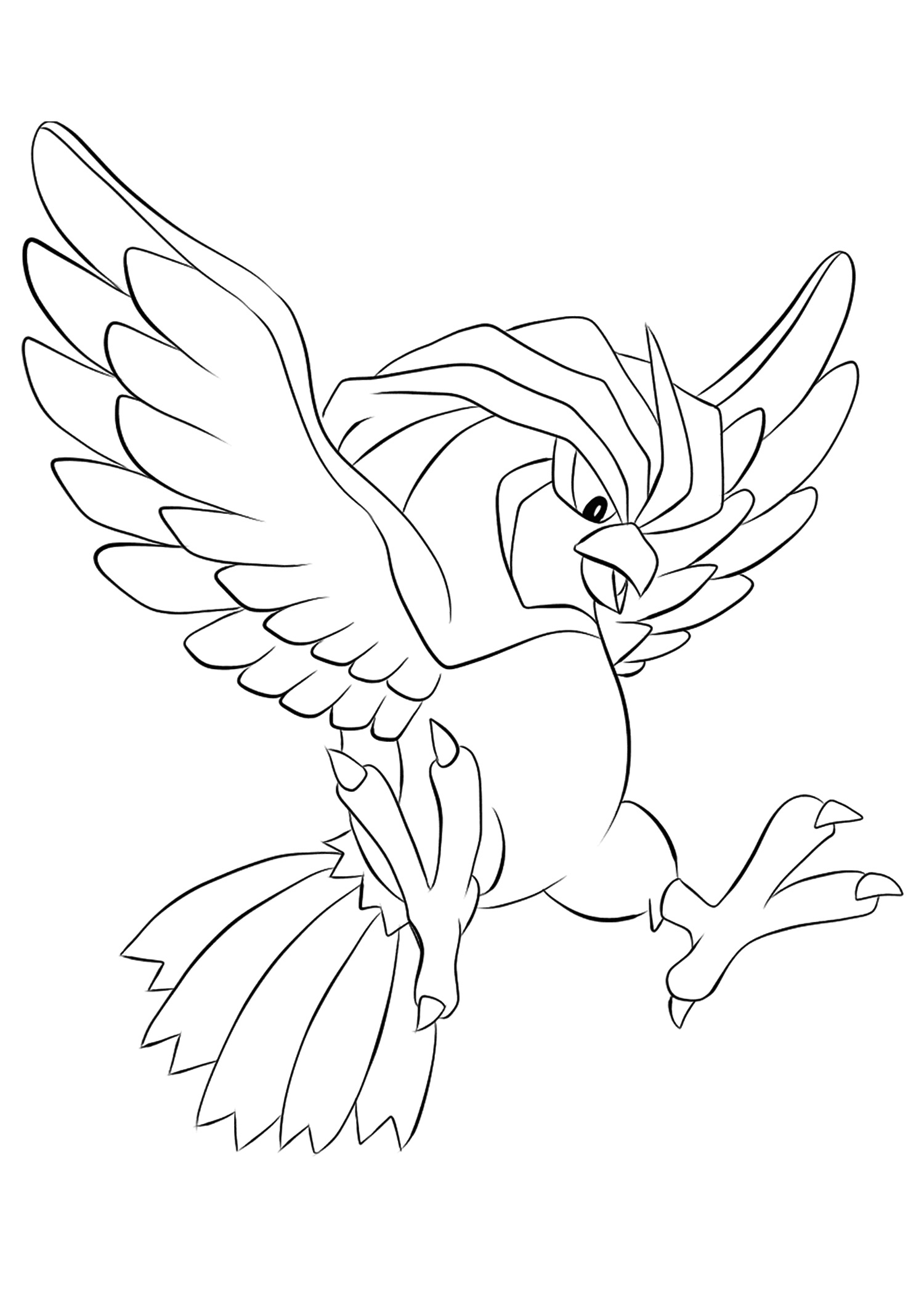 pidgeotto