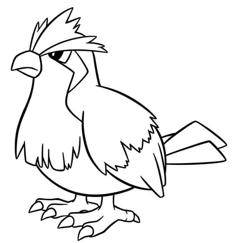 pidgey