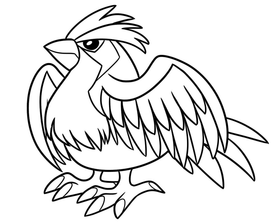 pidgey