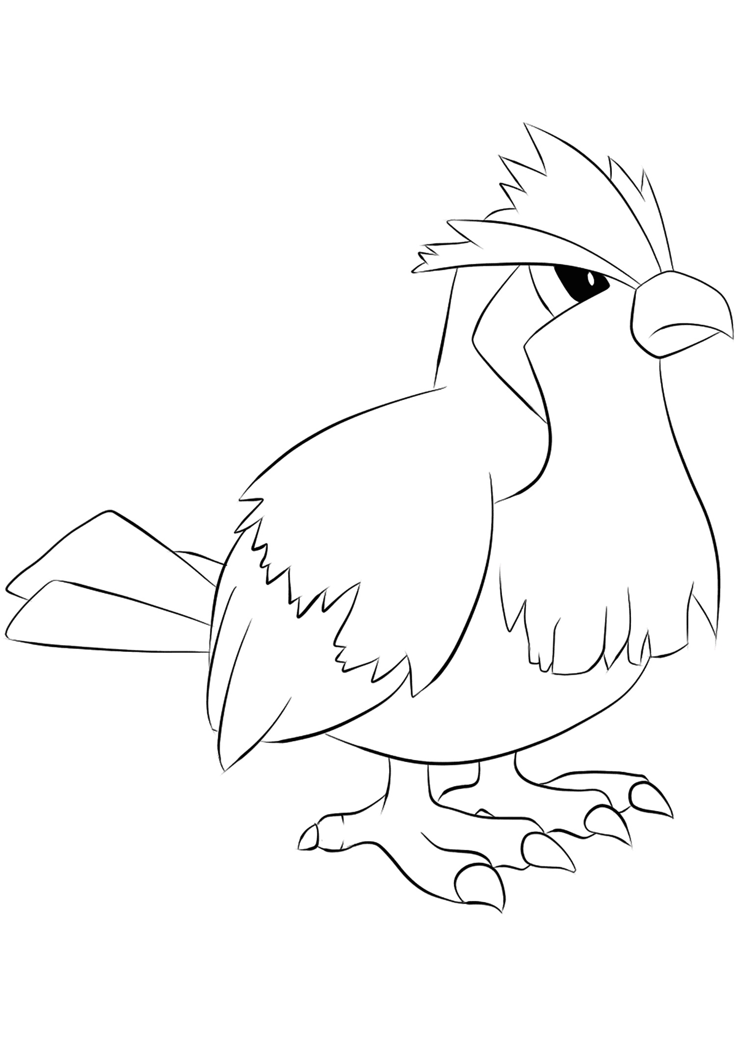 pidgey