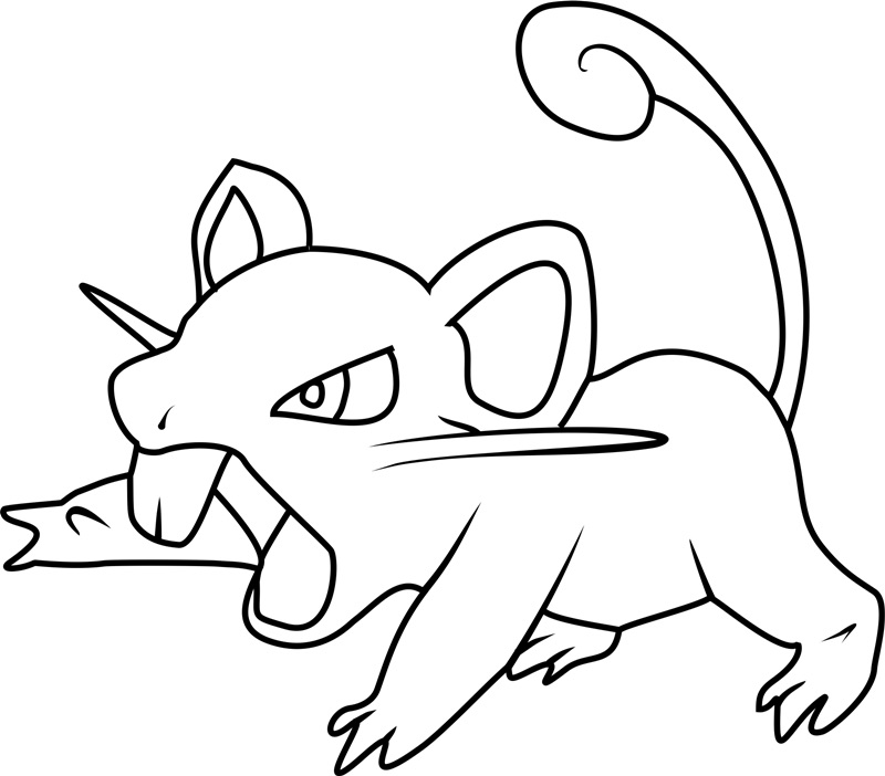 rattata