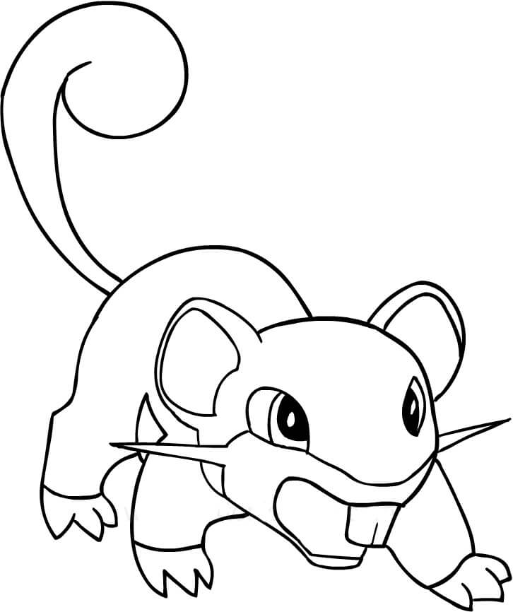 rattata