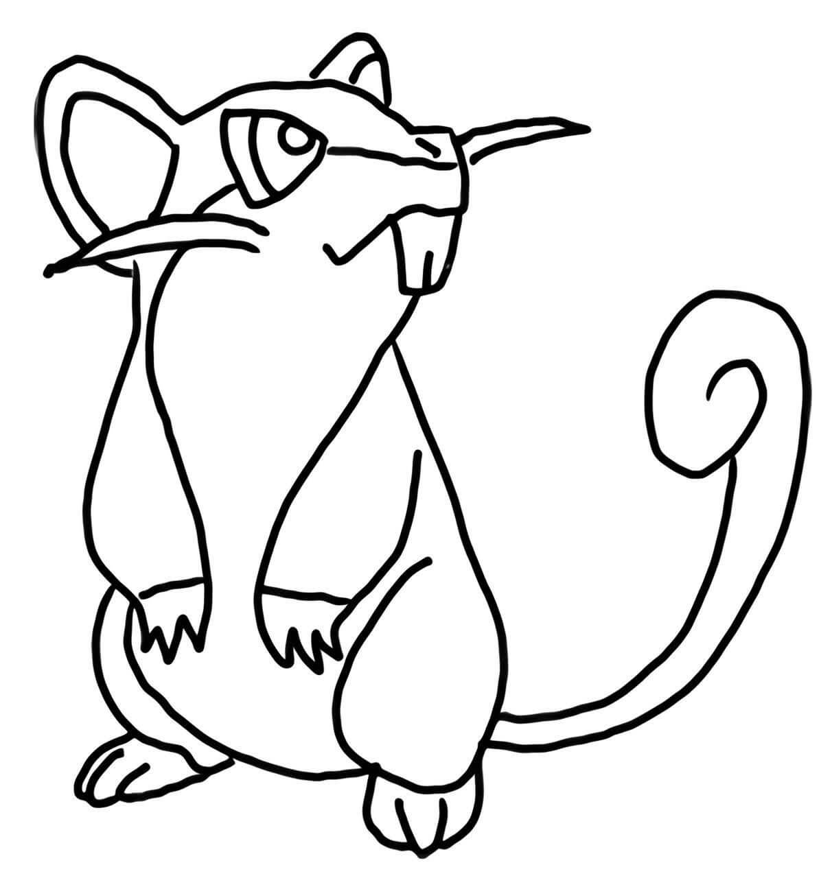 rattata