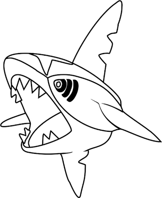 sharpedo