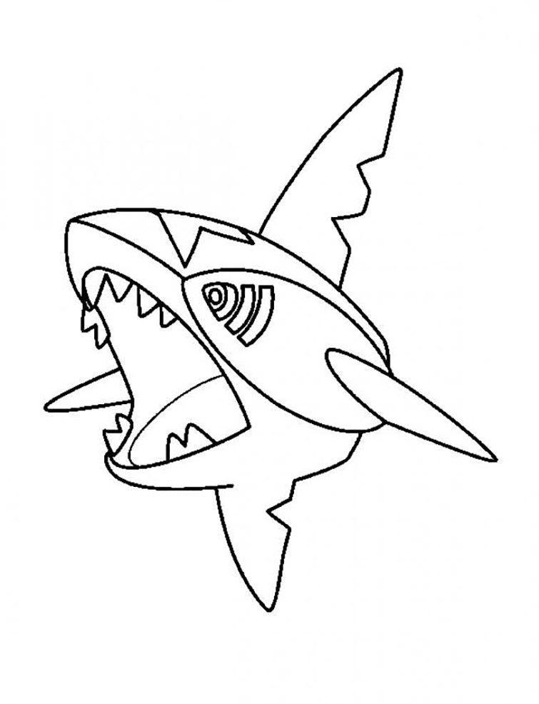 sharpedo