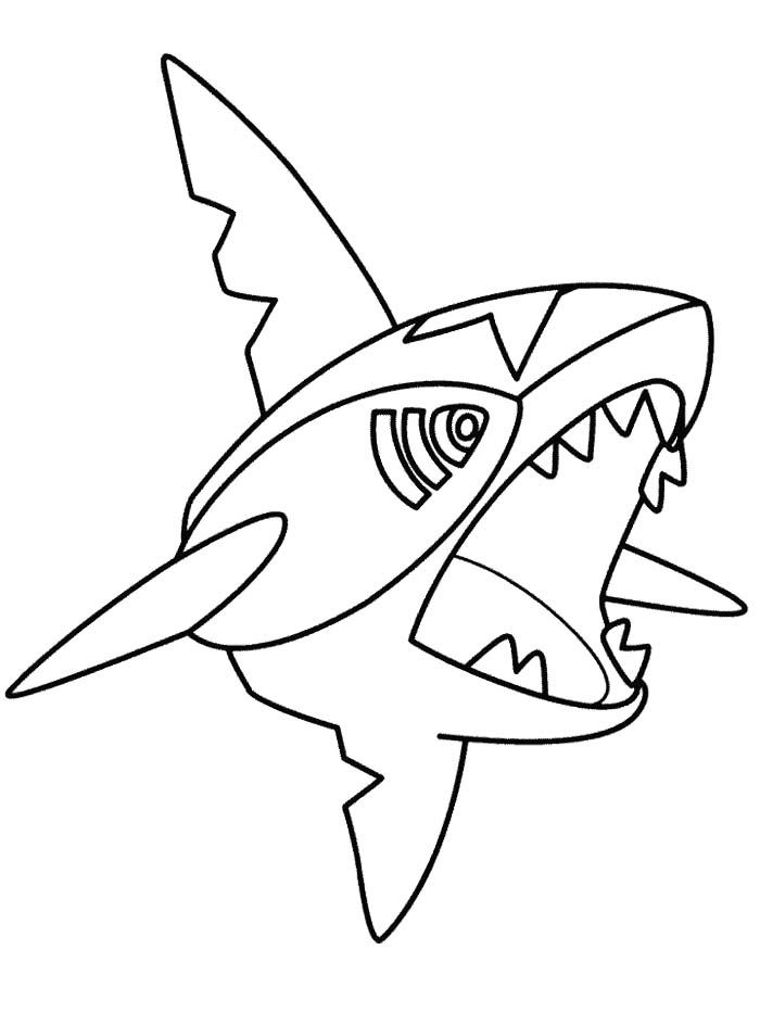 sharpedo