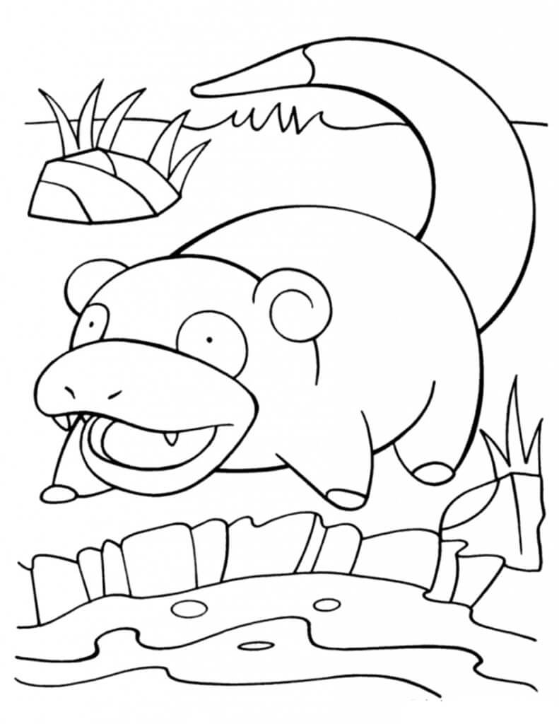 slowpoke