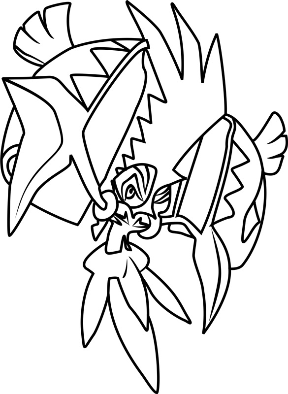 tapu-koko