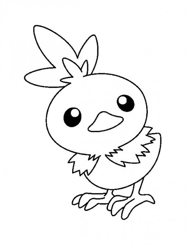 torchic