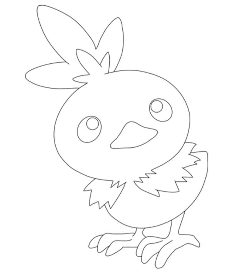 torchic