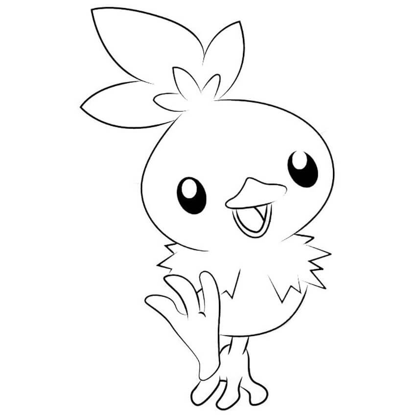 torchic