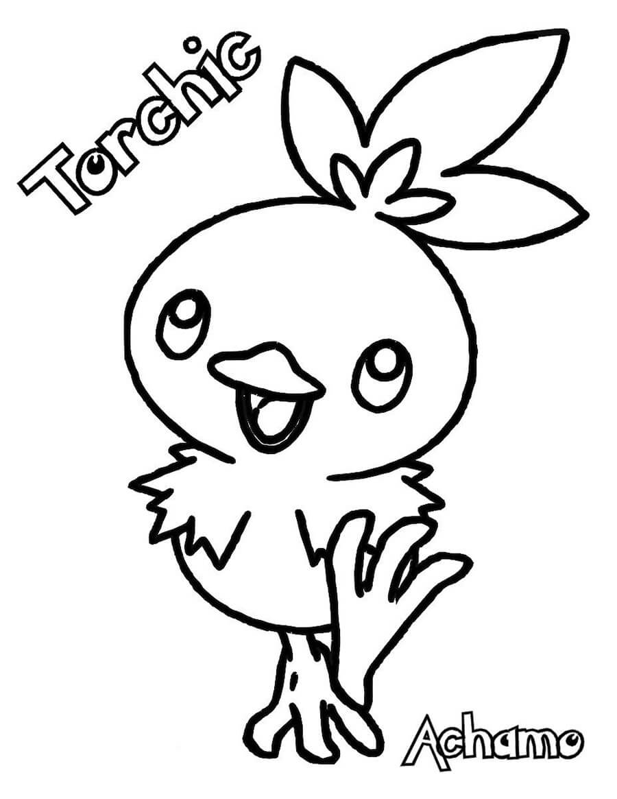 torchic