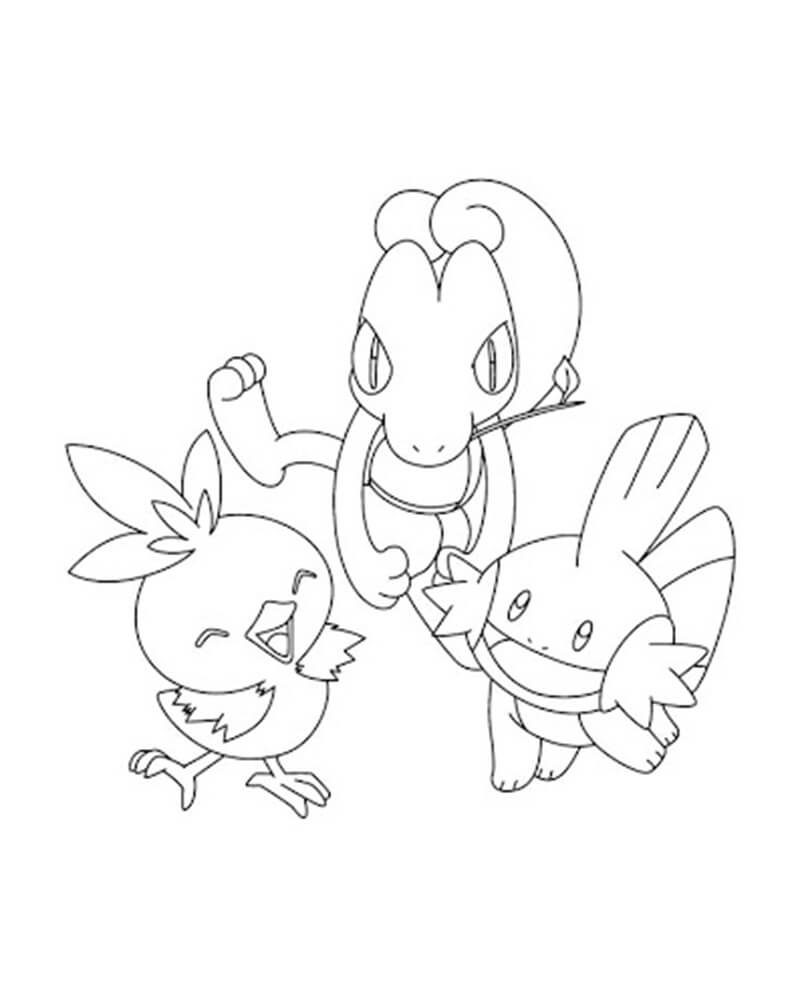 torchic