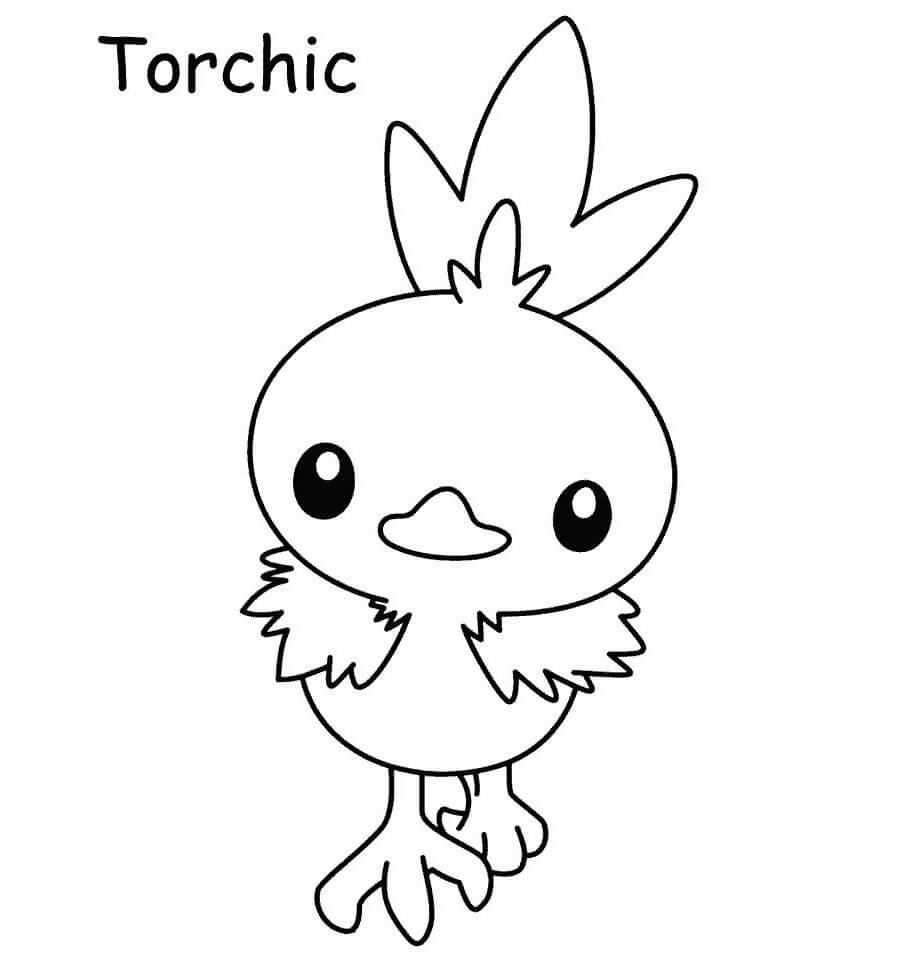 torchic