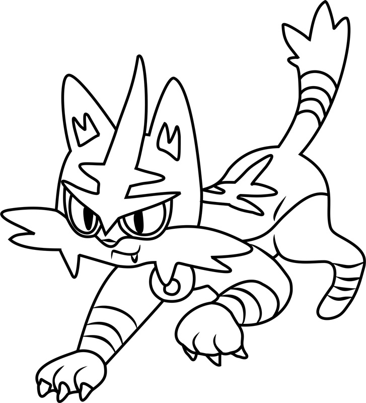 torracat