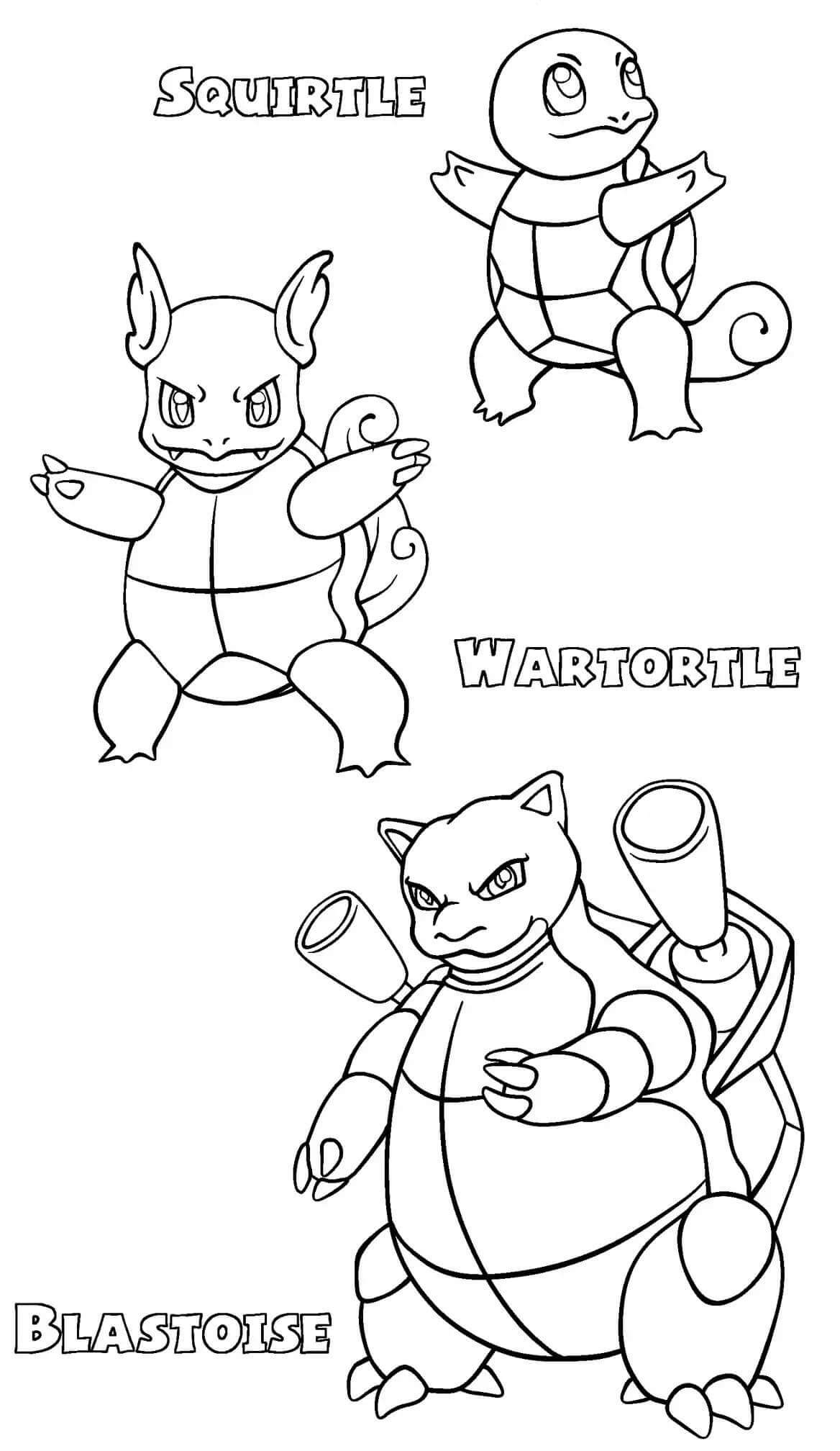 wartortle